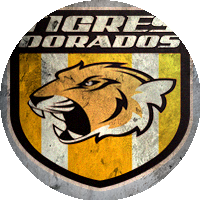 Logo Tigres Dorados MRCI